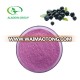 manufacturer supply  with best price food grade acai berry extract powder