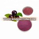 Natural 4:1 10:1 Acai Berry P.E, Euterpe Badiocarpa Extract Powder