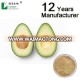 Factory supply bulk price dreid fresh avocado powder