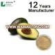 Natural avocado juice concentrate powder/avocado extract/avocado powder