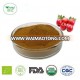 top grade and healthy Hawthorn Berry Powder