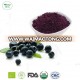 China Supplier 100% Natural Maqui Berry Powder