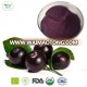 100% natural Acai berry powder