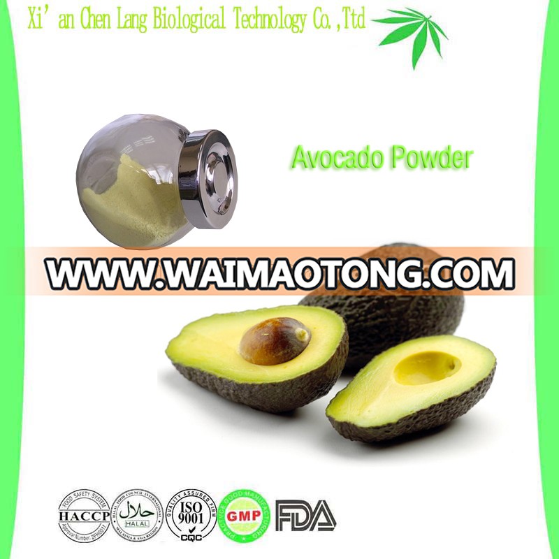 Factory Supply Wholesale Dried Avocado Powder